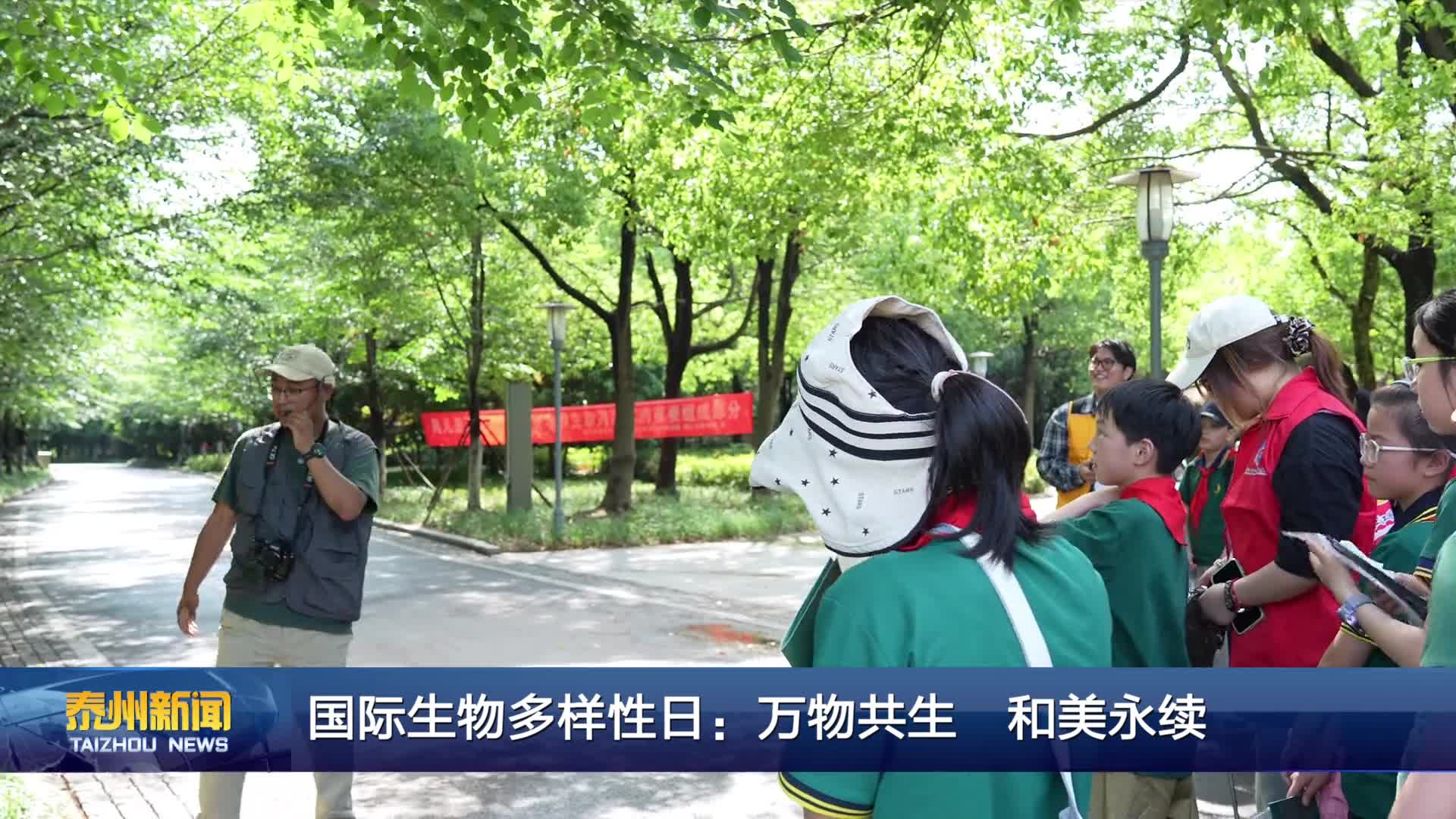 国际生物多样性日：万物共生 和美永续
